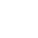 Torso